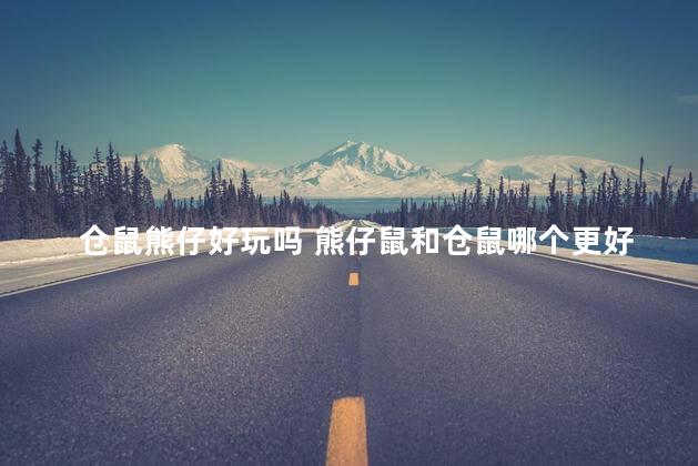 仓鼠熊仔好玩吗 熊仔鼠和仓鼠哪个更好